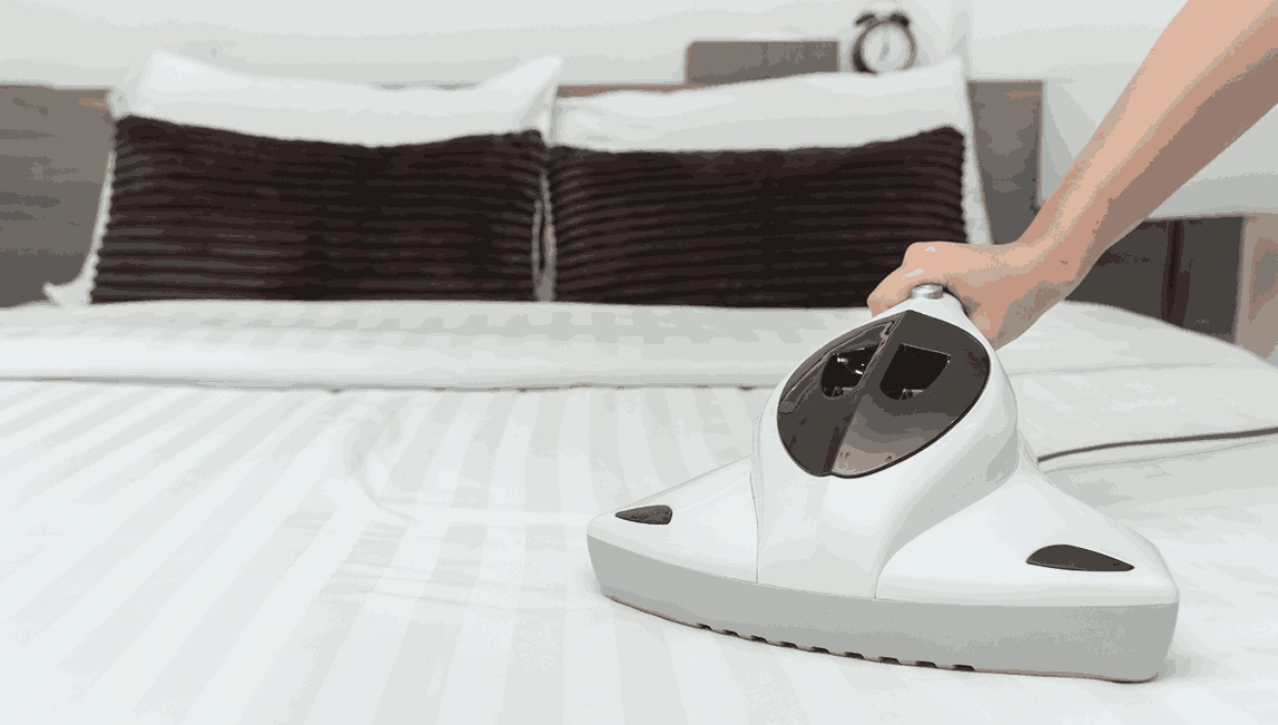 Professional Mattress Cleaning Hawthorn